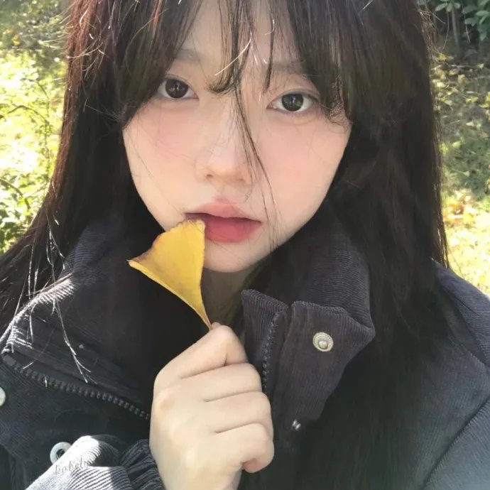 中餐厅第六季