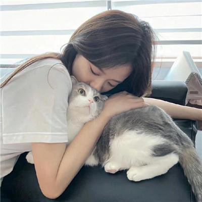 白山新歌